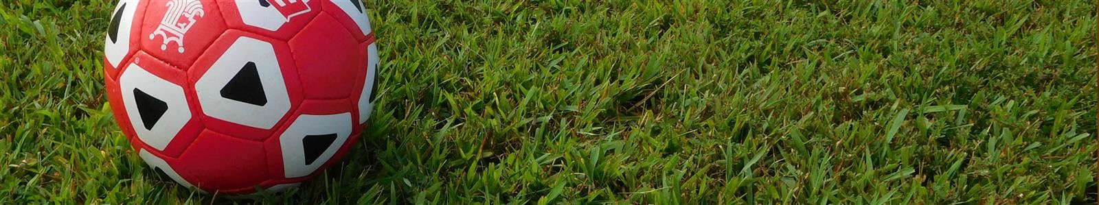 A soccer ball sits in the bright green grass